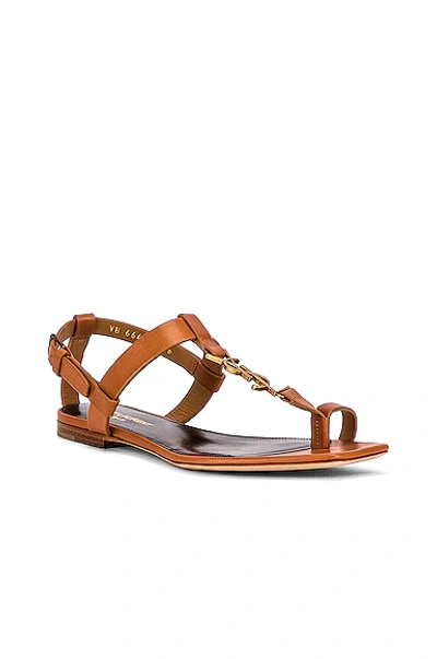 Shop Saint Laurent Cassandra Flat Sandals In Tan