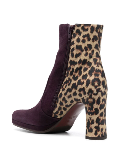 Shop Chie Mihara Leopard-panel Detail Boots In Violett