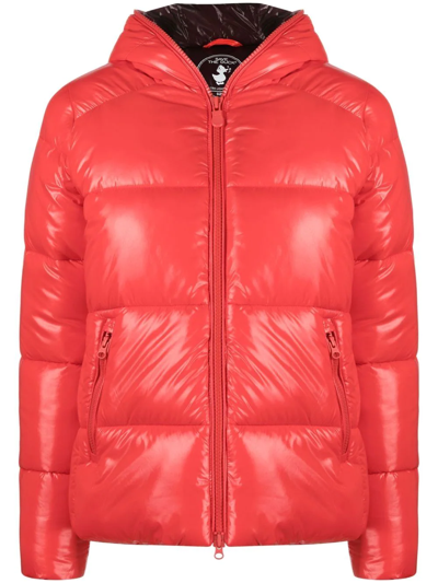 Save The Duck Logo-patch Padded Jacket In Red | ModeSens