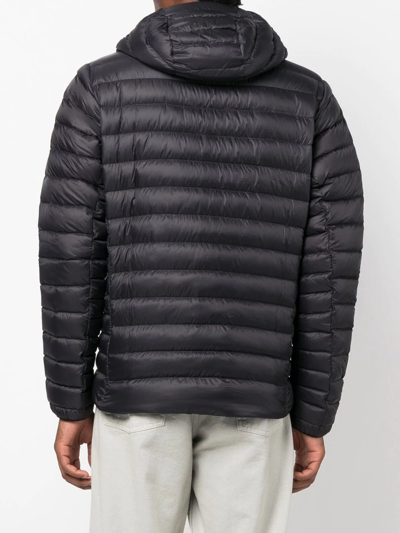 Shop Patagonia Logo-patch Padded Down Jacket In Schwarz