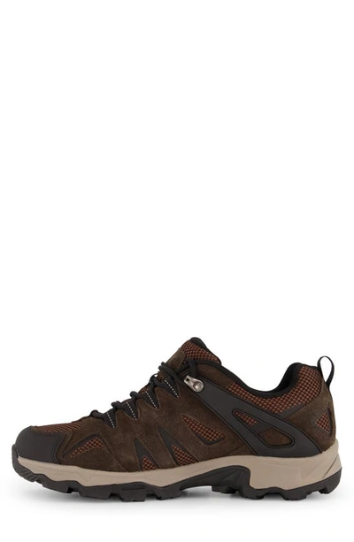 Shop Zeroxposur Colorado Low Waterproof Hiking Shoe In Lava Smoke