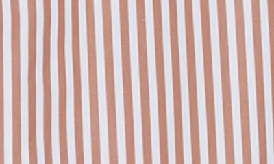 Shop Argent Stripe Long Sleeve Shirt In Chestnut Stripe