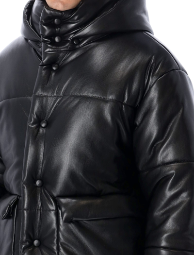 Shop Nanushka Padded Puffer Jacket In Black