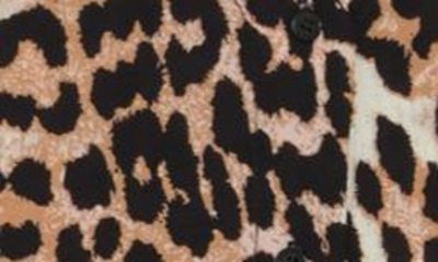 Shop T Tahari Ruffle Cuff Blouse In Saharan Leopard