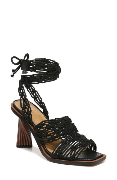 Sam Edelman Harleigh Strappy Sandal In Black