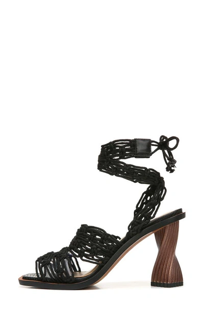 Sam Edelman Harleigh Strappy Sandal In Black