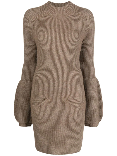 Shop Alexander Wang Ribbed-knit Jumper Dress In Brown