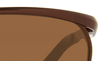 Eddie Bauer 62mm Rectangle Sunglasses In Brown/ Brown