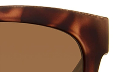 Eddie Bauer 54mm Round Polarized Sunglasses In Tortoise/ Brown