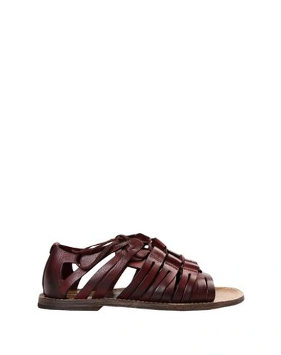 Dolce & Gabbana Sandals In Maroon