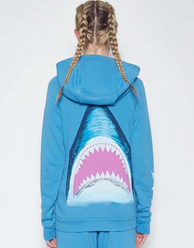 Lauren Moshi Shark Test Swatch In Chill Out