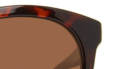 Shop Eddie Bauer 54mm Round Polarized Sunglasses In Tortoise/ Brown