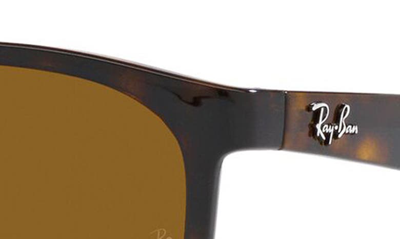 Shop Ray Ban Ray-ban 56mm Square Sunglasses In Havana