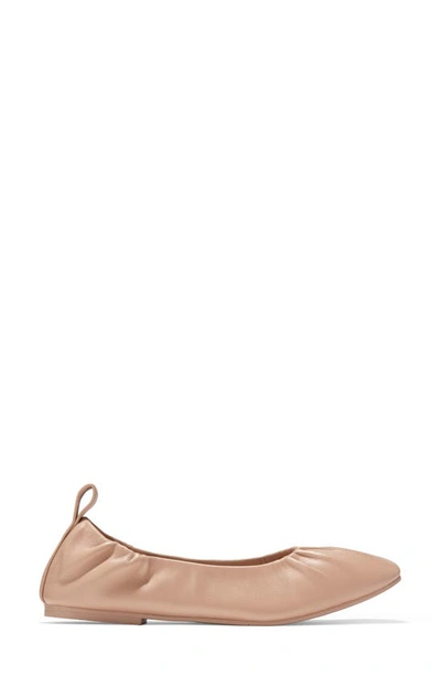 Shop Cole Haan Ballet Flat In Nude Leather