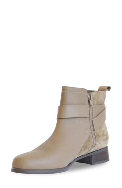 Shop Munro Chestnut Bootie In Taupe/ Sesame Combo