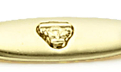 Shop Lagos Superfine Signature Caviar Station Bracelet In Gold