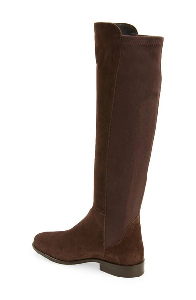 Shop Cordani Bethany Over The Knee Boot In Espresso Suede