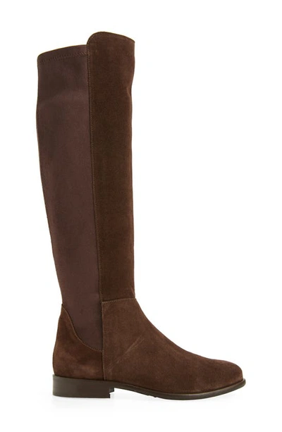 Shop Cordani Bethany Over The Knee Boot In Espresso Suede