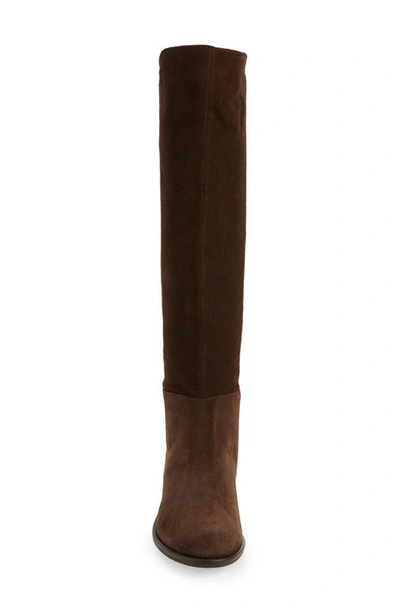 Shop Cordani Bethany Over The Knee Boot In Espresso Suede