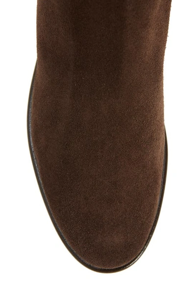 Shop Cordani Bethany Over The Knee Boot In Espresso Suede