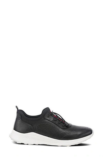 Spring Step Kris Leather Sneaker In Black