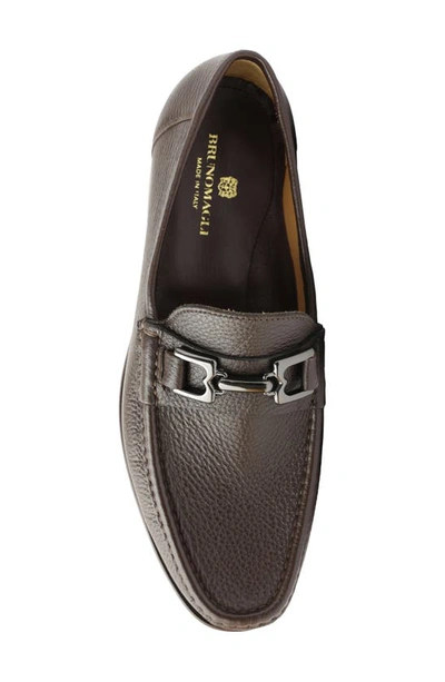 Shop Bruno Magli Trieste Bit Loafer In Dark Brown Cervo