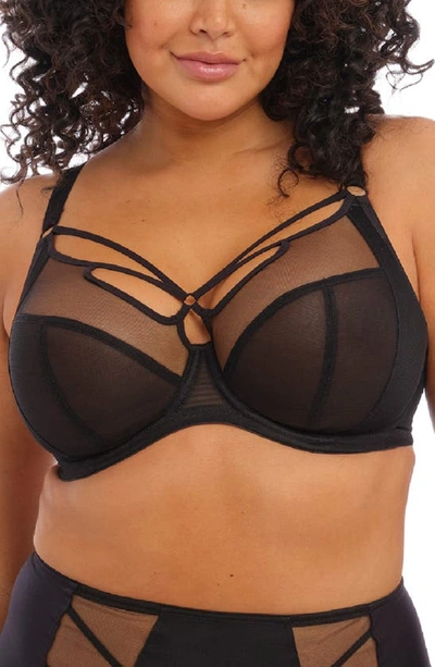 Shop Elomi Sachi Full Figure Underwire Plunge Bra In Black