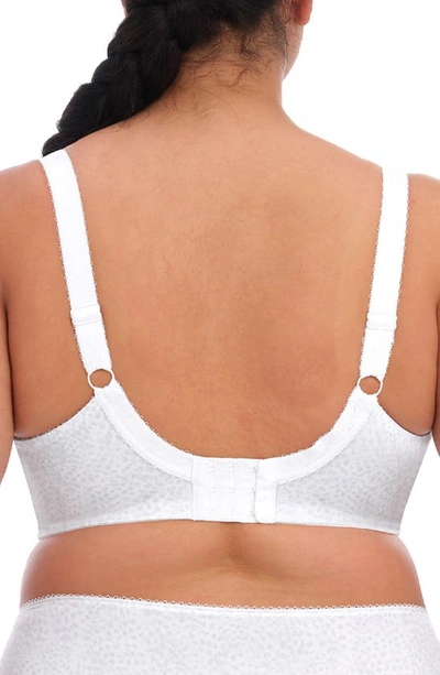 Elomi Full Figure Morgan Banded Underwire Stretch Lace Bra El4110, Online Only In White