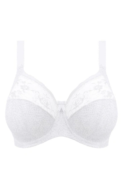 Elomi Full Figure Morgan Banded Underwire Stretch Lace Bra El4110, Online Only In White