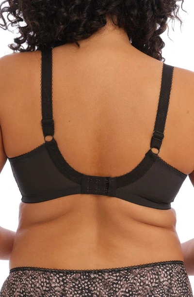 Elomi Full Figure Morgan Banded Underwire Stretch Lace Bra El4110, Online Only In Ebony