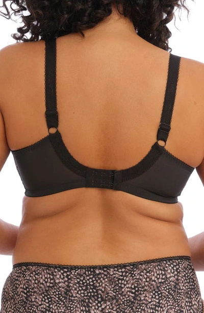 Elomi Full Figure Morgan Banded Underwire Stretch Lace Bra El4110, Online Only In Ebony