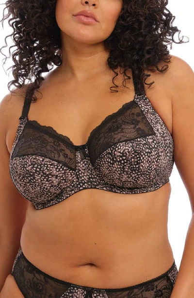 Elomi Full Figure Morgan Banded Underwire Stretch Lace Bra El4110, Online Only In Ebony