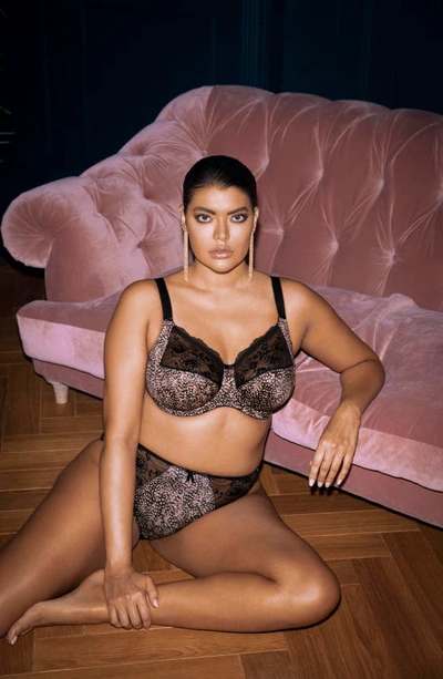 Elomi Full Figure Morgan Banded Underwire Stretch Lace Bra El4110, Online  Only In Ebony