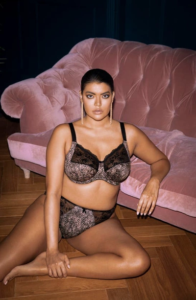 Elomi Full Figure Morgan Banded Underwire Stretch Lace Bra El4110, Online Only In Ebony