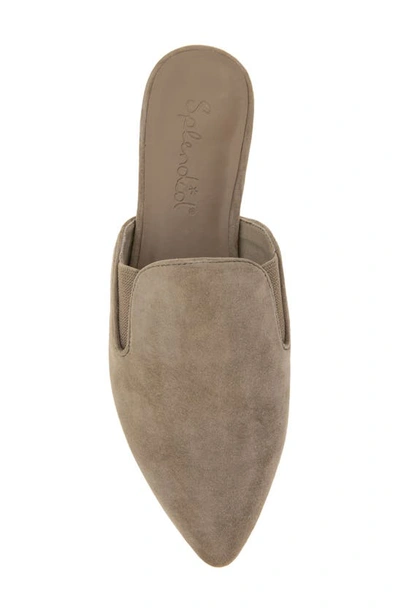 Shop Splendid Liza Pointed Toe Mule In Ermine