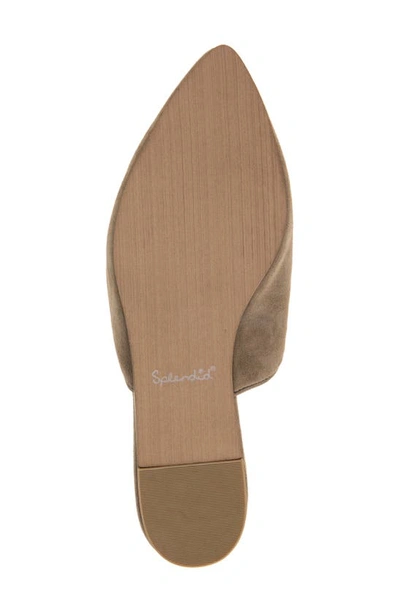 Splendid Women's Liza Pointed Toe Slip On Flats In Ermine