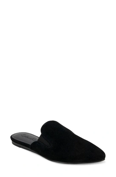 Shop Splendid Liza Pointed Toe Mule In Black Suede