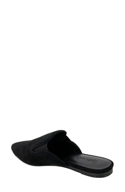 Splendid Liza Pointed Toe Mule In Black Suede