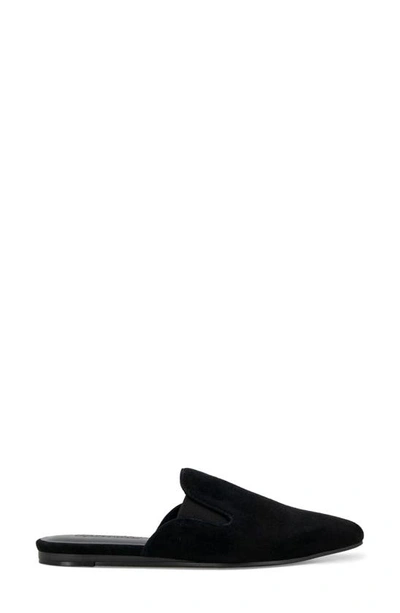 Splendid Liza Pointed Toe Mule In Black Suede