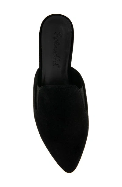 Splendid Liza Pointed Toe Mule In Black Suede