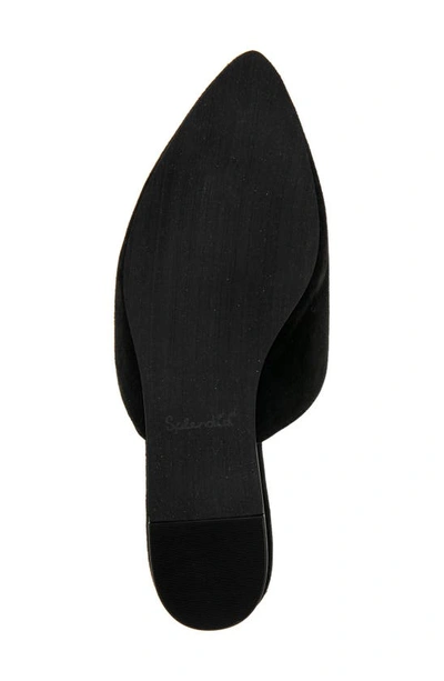 Splendid Liza Pointed Toe Mule In Black Suede