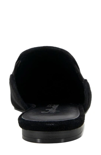 Splendid Liza Pointed Toe Mule In Black Suede