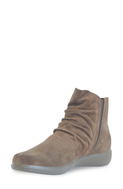 Shop Munro Scout Water Resistant Bootie In Toasted Sesame Suede