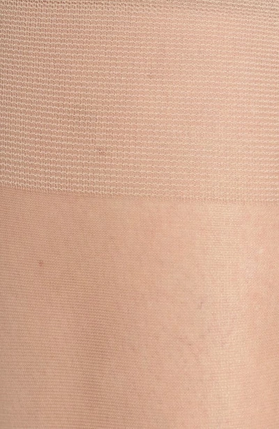 Nordstrom 3-pack Sheer Knee Highs In Brown Taupe