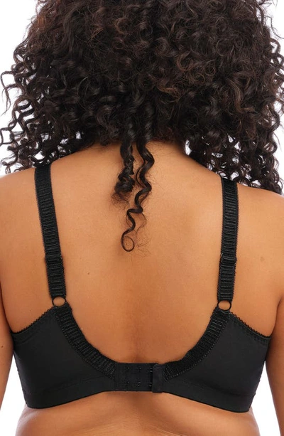 Elomi Cate Full Figure Soft Cup Bra In Black
