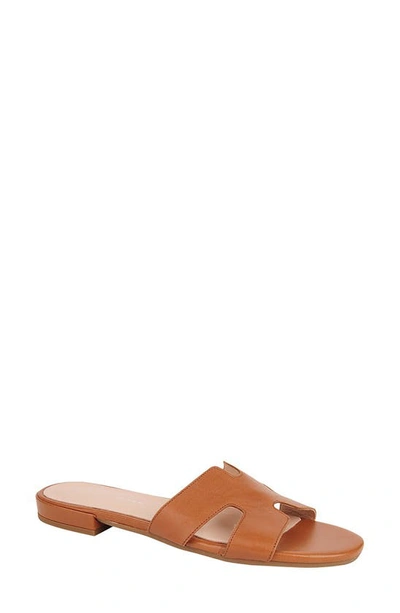 Shop Patricia Green Hallie Slide Sandal In Luggage Leather/brown