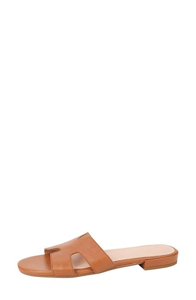 Shop Patricia Green Hallie Slide Sandal In Luggage Leather/brown