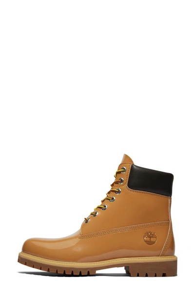 Shop Timberland X Veneda Gender Inclusive Carter Waterproof Lace-up Boot In Wheat