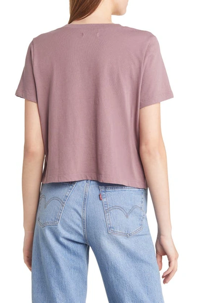 Shop Madewell Lakeshore Softfade Cotton Crop Tee In Fig