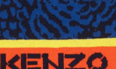 Shop Kenzo Kids' Cotton & Wool Blend Sweater In Blue